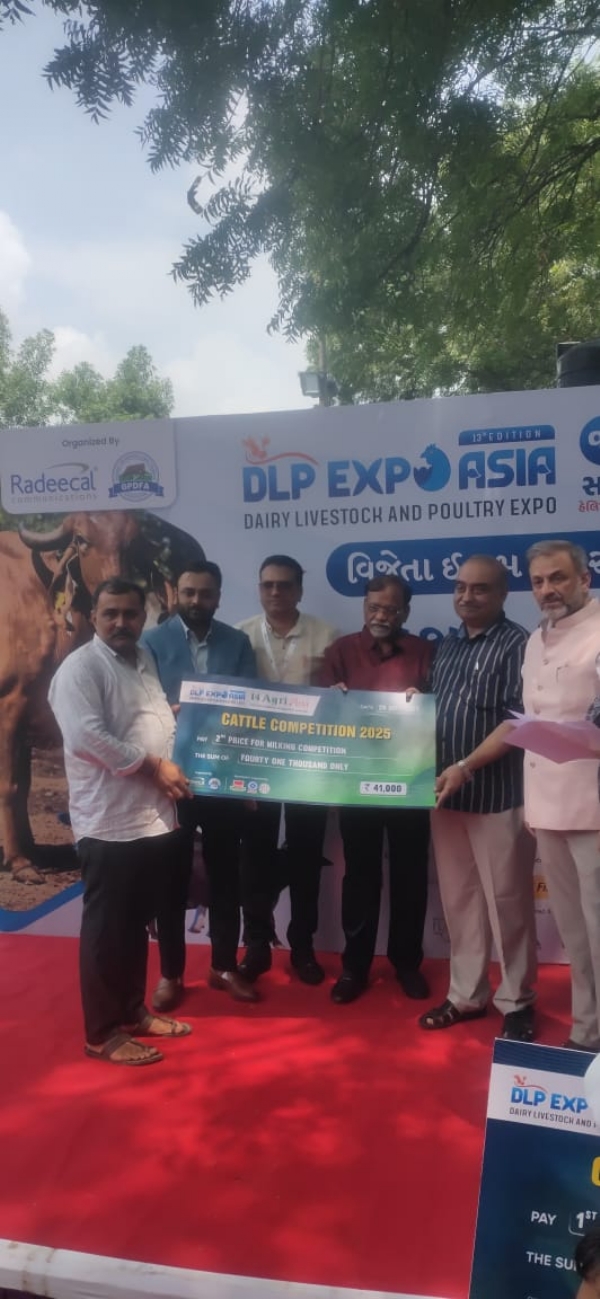 મહેસાણા નજીક કુવારદ ગામની કાંકરેજી ગાય ‘કિશુ’ની સિદ્ધિ : ગાંધીનગર કૃષિ એક્સપોમાં દ્વિતીય સ્થાન