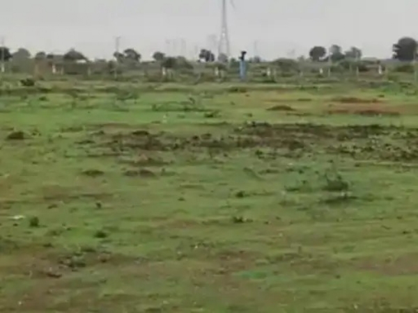 સઘન વૃક્ષ વાવેતર