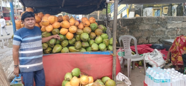 લીલા નાળિયેર ઉત્પાદનમાં