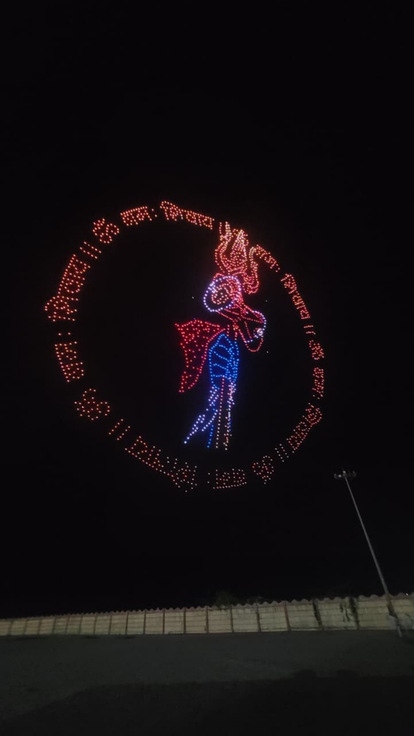 ડ્રોન શો