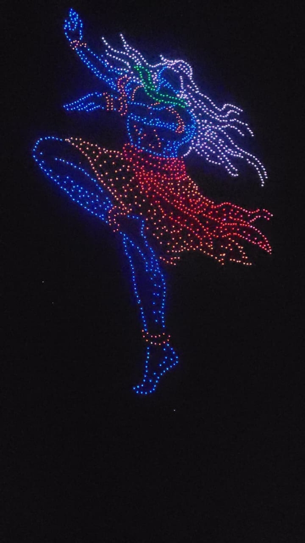 ડ્રોન શો