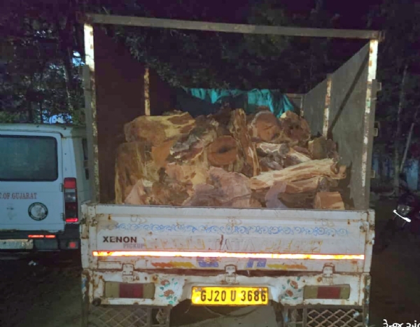 AMBAJI VAN VIBHAGE LAKDA ZADPYA