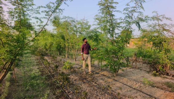 2019માં હસાયેલા પ્રાકૃતિક ખેડૂત આજે બન્યા માર્ગદર્શક, પીપળવાના નિકુંજ પ્રતાપભાઈની સફળતાની પ્રેરક કહાણી