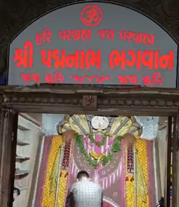 પાટણમાં શ્રી પદ્મનાભજી ભગવાનની જ્યોત સ્વરૂપ રવાડીનું ભવ્ય આયોજન