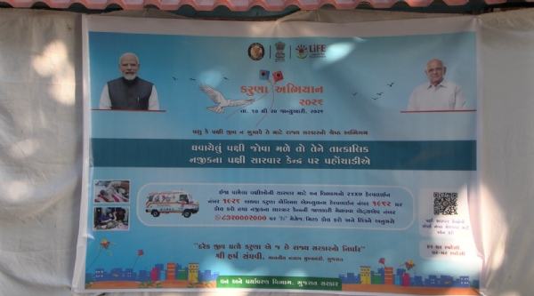 પોરબંદરમાં કરુણા અભિયાનનો પ્રારંભ: ઘાયલ પક્ષીઓની સારવાર માટે વન વિભાગ સજ્જ.