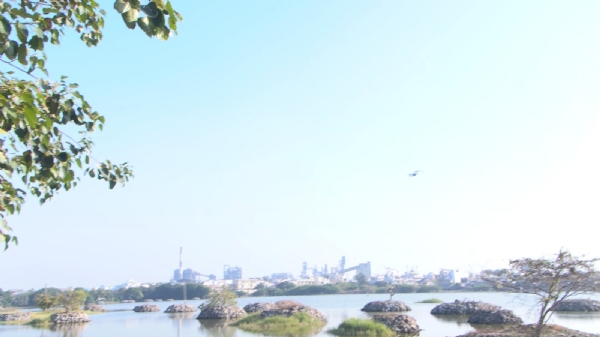 પોરબંદરમાં કરુણા અભિયાનનો પ્રારંભ: ઘાયલ પક્ષીઓની સારવાર માટે વન વિભાગ સજ્જ.