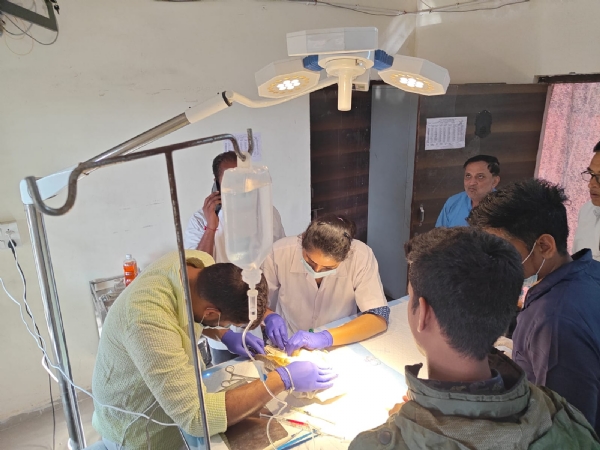 કરુણા અભિયાન 2026 અંતર્ગત મહેસાણામાં પશુ-પક્ષી સારવાર કેન્દ્રનો શુભારંભ