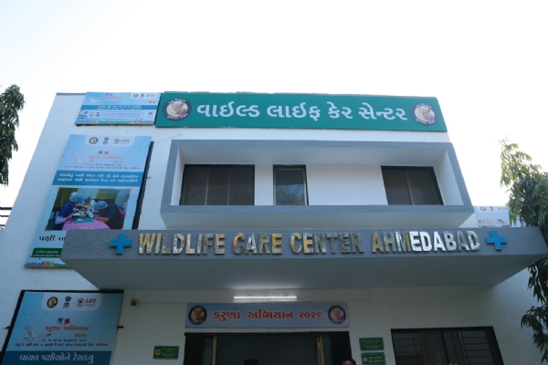 મુખ્યમંત્રી મુખ્યમંત્રી