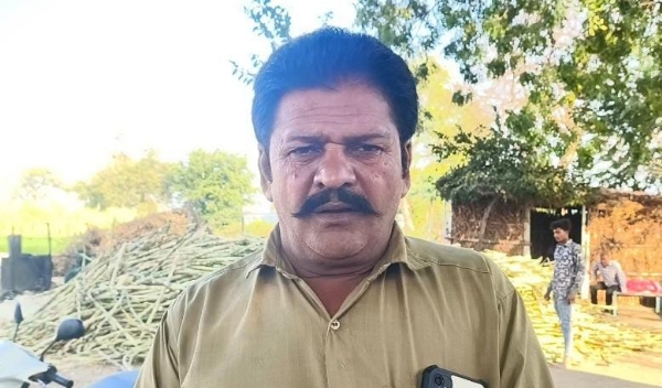 અમરેલી જિલ્લાના કરજાળા ગામમાં દેશી ગોળની સુગંધ: ઓર્ગેનિક ખેતીથી મૂલ્યવર્ધન કરી ખેડૂતોએ ઊભી કરી નવી આવકની દિશા