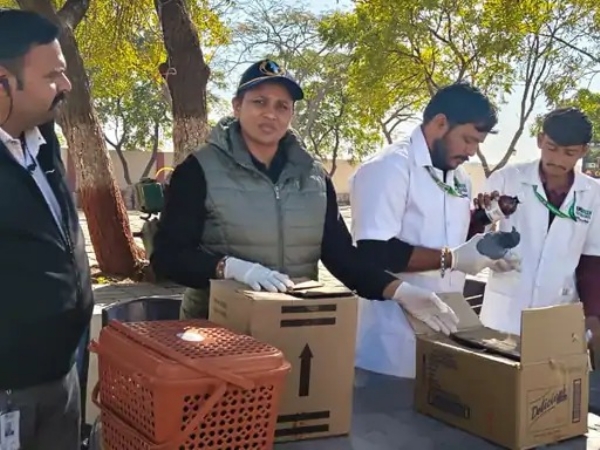 ઉત્તરાયણ પર્વ ઉપર પક્ષી અને રાહદારીઓ ઘાયલ