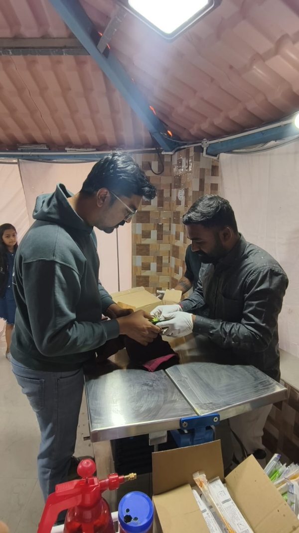 પોરબંદર માં પતંગની દોરી થી 11 પક્ષીના મોત 46 ઘાયલ.