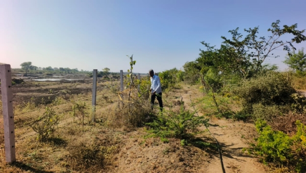 પ્રયાસથી હરિયાળું સ્વપ્ન: આંબા ગામના ખેડૂતની પ્રકૃતિપ્રેમી પહેલ