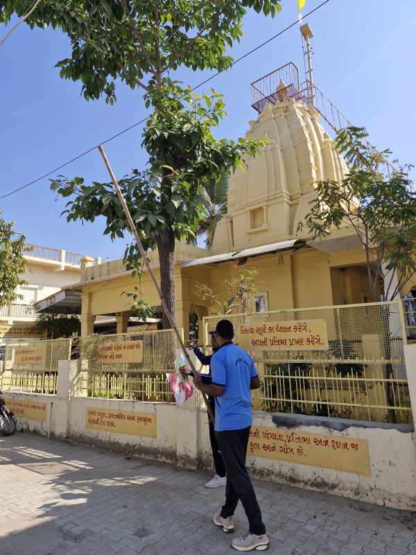 એનસીસી, એમ.એન. કોલેજ, વિસનગર દ્વારા પક્ષી સંરક્ષણ માટે આઉટરીચ પ્રવૃત્તિ