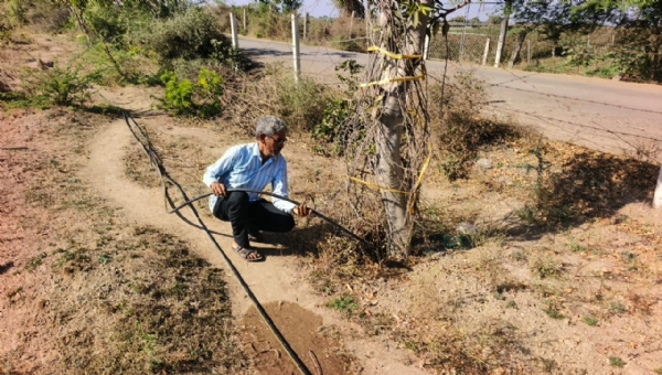 પ્રયાસથી હરિયાળું સ્વપ્ન: આંબા ગામના ખેડૂતની પ્રકૃતિપ્રેમી પહેલ