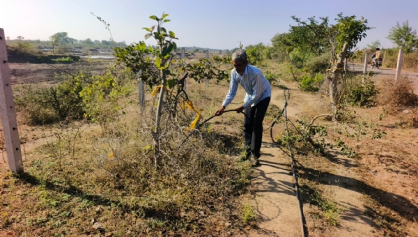 પ્રયાસથી હરિયાળું સ્વપ્ન: આંબા ગામના ખેડૂતની પ્રકૃતિપ્રેમી પહેલ