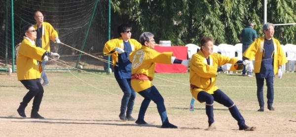 અમદાવાદમાં ઉત્તરાયણની સવારે જાપાનીઝ પતંગનું અમદાવાદી પતંગ સાથે આકાશમાં નૃત્ય