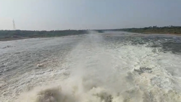 ભાદર - 2 ડેમ માંથી સિંચાઈનું પાણી છોડવતા ધારાસભ્ય કાંધલ જાડેજા.