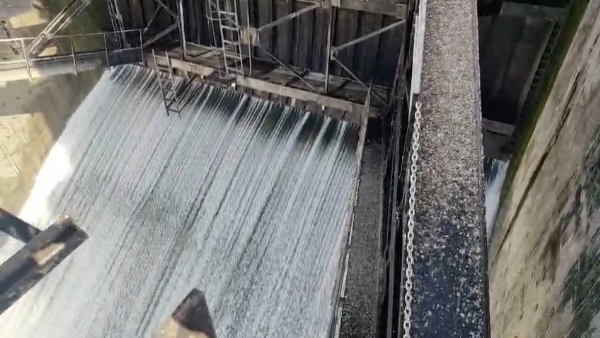 ભાદર - 2 ડેમ માંથી સિંચાઈનું પાણી છોડવતા ધારાસભ્ય કાંધલ જાડેજા.