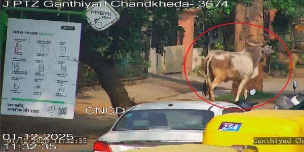 સ્માર્ટ શહેર માટે સ્માર્ટ ઉપાય: CCTV+AI = રખડતી ગાયને ભીડમાં ઓળખીને તેના માલિકની ઓળખ ઉજાગર કરશે