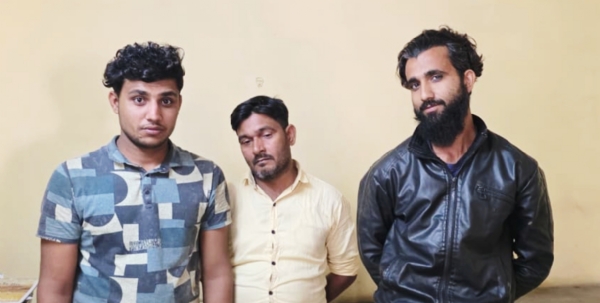 પાનોલી હાઈવે પરની હોટલ પરથી ખીચોખીચ પશુ ભરેલ 4 કન્ટેનર એડબલ્યુબીની ટીમે ઝડપી પાડ્યા