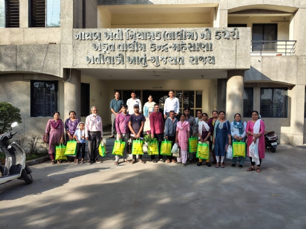 નવાં વર્ષ નિમિત્તે મહેસાણામાં પ્રાકૃતિક ખેત પેદાશ કેન્દ્રના પ્રચાર માટે થેલીઓનું વિતરણ