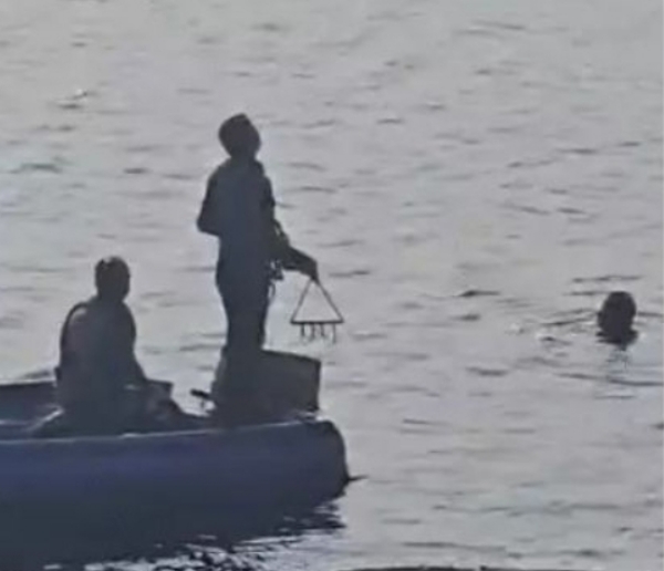 યુવકની તાપી નદીમાં ઝંપલાવવાની ઘટના