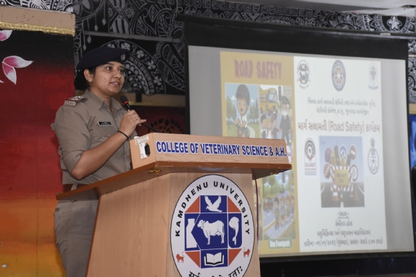 જૂનાગઢમાં વેટરનરી કોલેજ ખાતેથી રાષ્ટ્રીય માર્ગ સલામતી