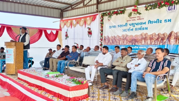 જૂનાગઢ જિલ્લાના બીલખા ખાતે જિલ્લા કક્ષાની પશુપાલન શિબિર જૂનાગઢ જિલ્લાના બીલખા ખાતે જિલ્લા કક્ષાની પશુપાલન શિબિર