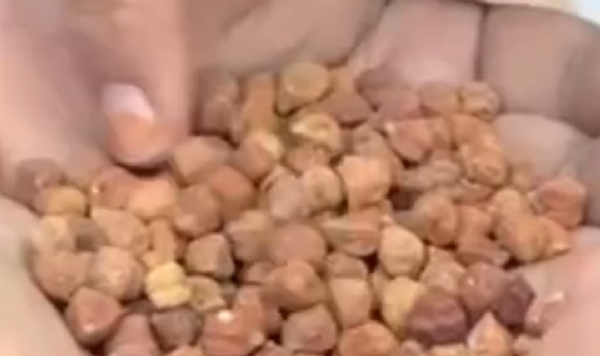 પાટણમાં મીરાં દરવાજા વિસ્તારમાં પાલિકાનું મેગા સફાઈ અભિયાન અને ગેરકાયદેસર પ્રવૃત્તિઓ સામે કડક કાર્યવાહી કરવામાં આવી