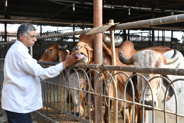 મહેન્દ્રભાઈ