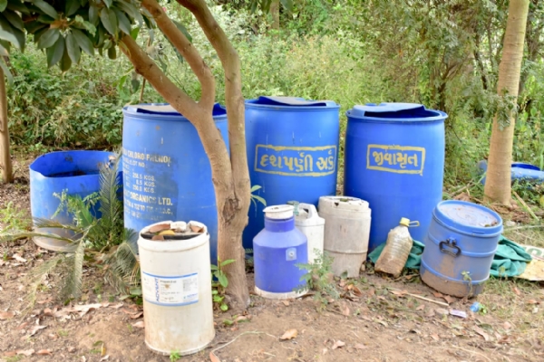 પ્રાકૃતિક કૃષિનો મંત્ર વડોદરાના પાદરાના પ્રગતિશીલ ખેડૂત અમરસિંહ પઢિયારની સફળ ગાથા