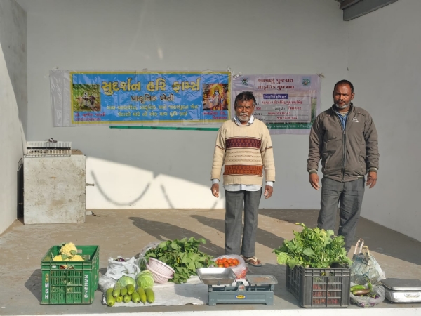 APMC મહેસાણા ખાતે નવું પ્રાકૃતિક ખેત પેદાશ વેચાણ કેન્દ્ર શરૂ