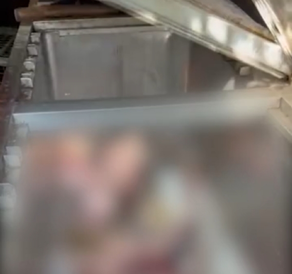 પાટણમાં ગેરકાયદેસર કતલખાનાઓ સામે પાલિકાની મોટી કાર્યવાહી, 40થી વધુ કતલખાનાઓ સીલ કરવાની કામગીરી હાથ ધરી