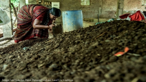 પ્રાકૃતિક ખેતી જેટલી જમીન અને પર્યાવરણ માટે લાભદાયક,તેટલી જ તે માનવ સ્વાસ્થ્ય માટે અમૂલ્ય