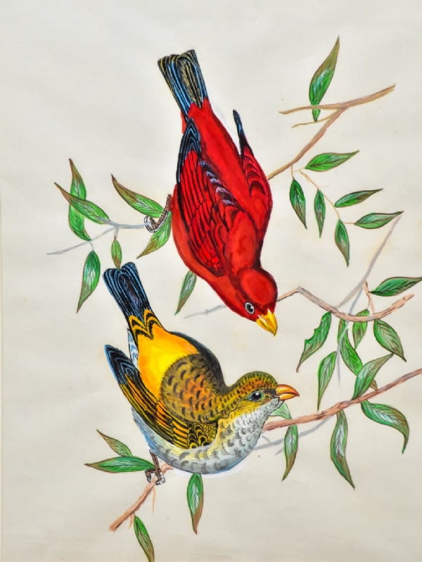 પેપર ક્વિલિંગથી ઓળખ બનાવનાર ગૃહિણી કેકા મંડલની કલાયાત્રા પેપર ક્વિલિંગથી ઓળખ બનાવનાર ગૃહિણી કેકા મંડલની કલાયાત્રા