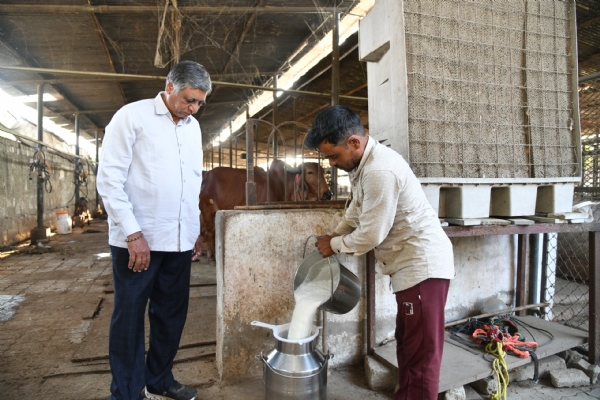 શોખથી શરુ થયેલી ગૌ સેવાએ આજે સાંતેજના મહેન્દ્ર પટેલને ગાંધીનગર જિલ્લાના શ્રેષ્ઠ પશુપાલકનું સન્માન