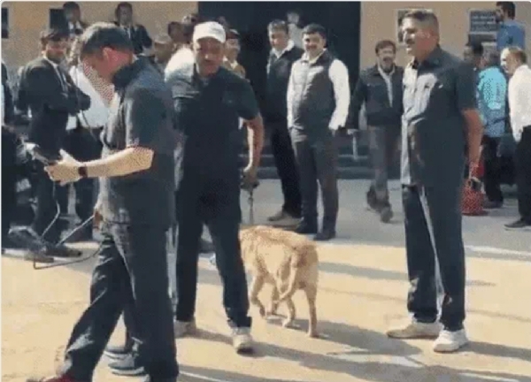 सूरत जिला अदालत को आरडीएक्स से  उड़ाने की धमकी