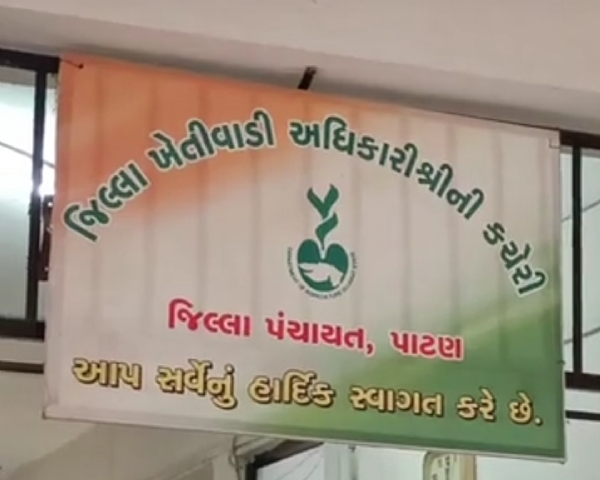 પાટણમાં ચોમાસામાં પાકને નુકસાનને કારણે 63,312 ખેડૂતોને 237 કરોડની સહાય ચુકવાઈ