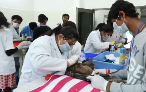 કરુણા અભિયાન 2026: ઉત્તરાયણમાં પક્ષી સંરક્ષણ માટે મહેસાણા જિલ્લાનો વિશેષ આયોજન