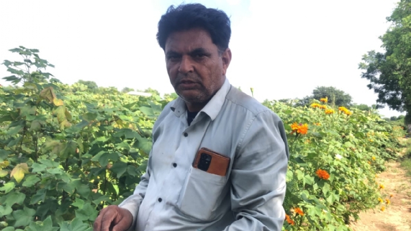 કપાસમાં આંતરપાક અને પાણી બચતથી ટકાઉ આવકનું મોડેલ: ભૂણાવના પ્રકાશભાઈ પટેલ બન્યા પ્રેરણા