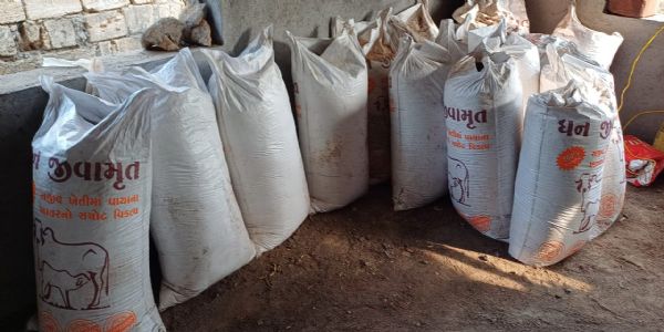 માળીયા હાટીનાના કુકસવાડા ગામની ગૌશાળા એક પ્લાન્ટ સ્થાપી આત્મનિર્ભર થવા માટે બની અગ્રેસર