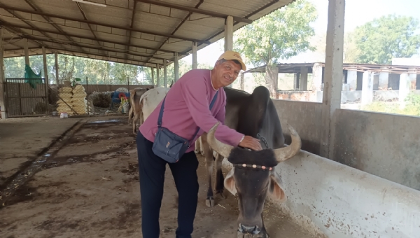 નિવૃત્તિ બાદ પશુપાલનથી સફળતાની નવી ગાથા રચનાર બ્રિજેશભાઈ