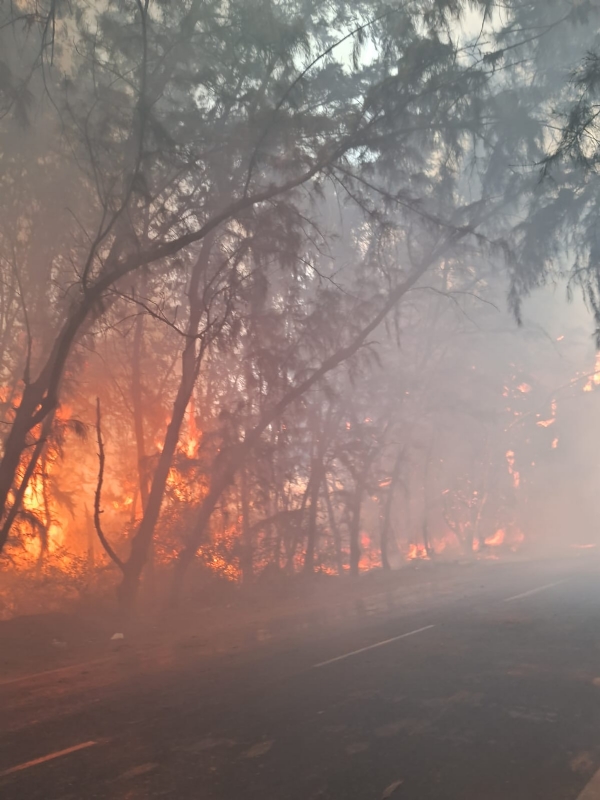 પોરબંદર મનપાના ફાયર વિભાગની વર્ષ દરમિયાન સરાહનીય કામગીરી.