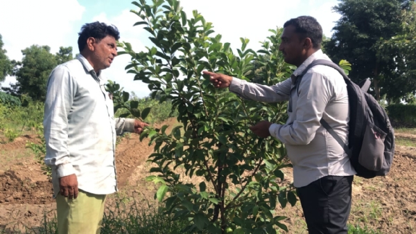 કપાસમાં આંતરપાક અને પાણી બચતથી ટકાઉ આવકનું મોડેલ: ભૂણાવના પ્રકાશભાઈ પટેલ બન્યા પ્રેરણા