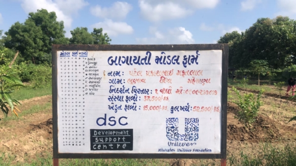 કપાસમાં આંતરપાક અને પાણી બચતથી ટકાઉ આવકનું મોડેલ: ભૂણાવના પ્રકાશભાઈ પટેલ બન્યા પ્રેરણા