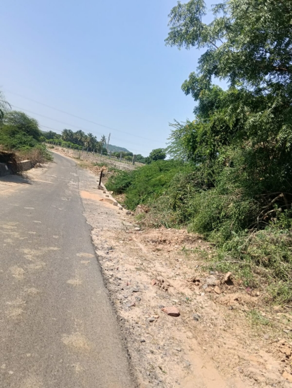 માર્ગ પર ઝાડી કટીંગ ની કામગીરી