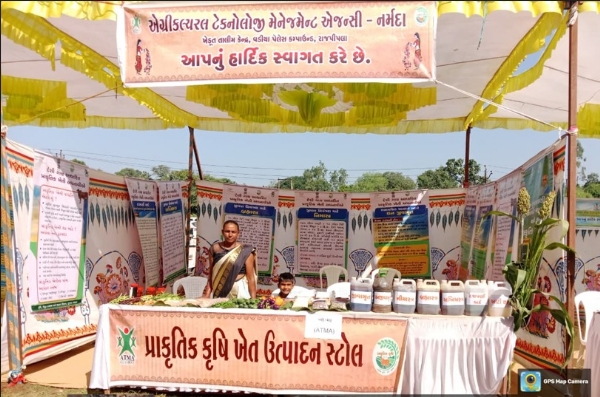Anjana Vasava became self-reliant with the help of Mission Mangalam, inspired 10 sisters through natural farming