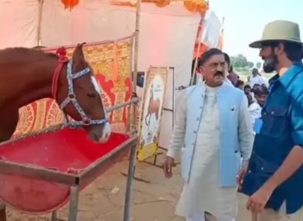 સાંતલપુરમાં પ્રથમ વખત યોજાયો ભવ્ય વૃંદાવન પશુ મેળો, અશ્વપ્રેમીઓ અને પશુપાલકો ઉમટ્યા