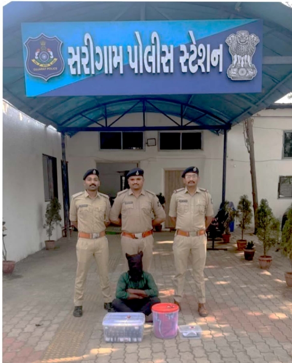 સરીગામ પોલીસની કાર્યવાહી: કોડેઇન સીરપની 62 બોટલ સાથે એક ઝડપાયો.