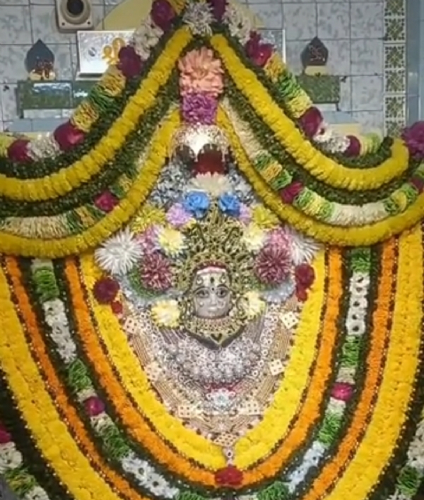 પાટણના કાલિકા માતાજી મંદિરમાં આસો નવરાત્રીની પંચમીએ ભવ્ય શણગાર, નવા અલંકારોથી માતાજીને સજાવાયાં પાટણના કાલિકા માતાજી મંદિરમાં આસો નવરાત્રીની પંચમીએ ભવ્ય શણગાર, નવા અલંકારોથી માતાજીને સજાવાયાં